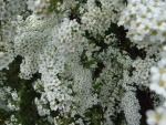 dsc01999